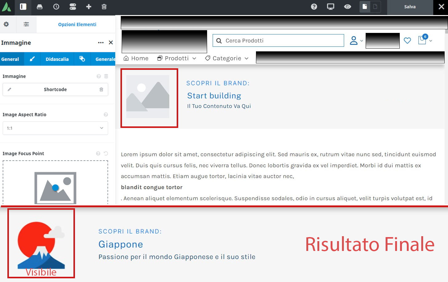 img woocomerce brand tutorial editor avada imgbrand